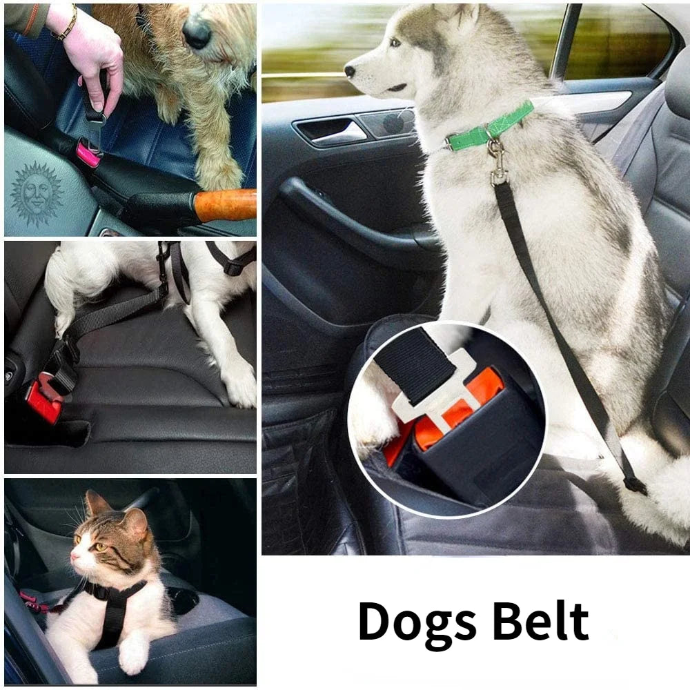 SafeRide Adjustable Pet Seat Belt