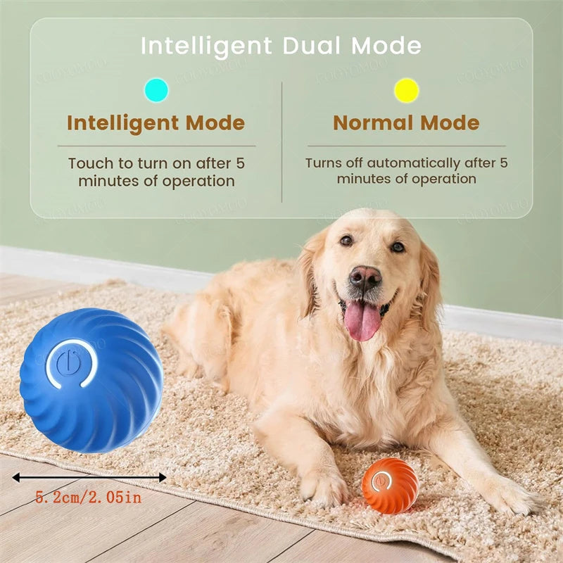 PlayMotion Smart Pet Ball