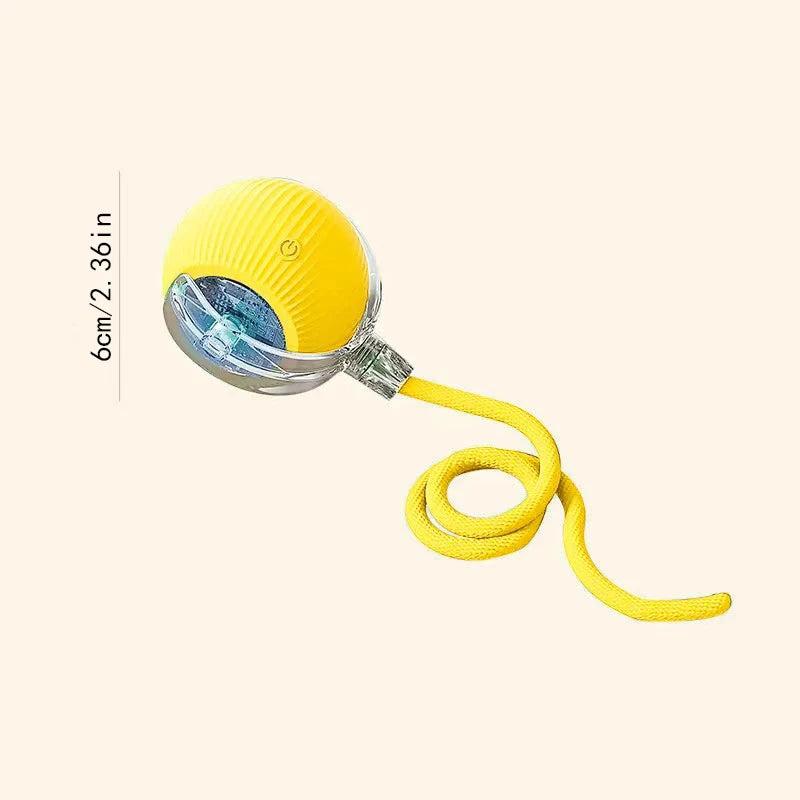 PlayMotion Smart Pet Ball