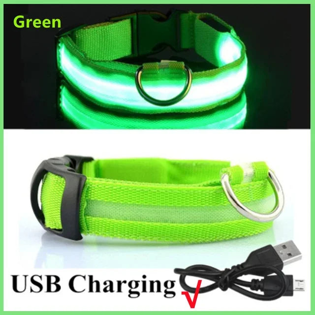 GlowGuard LED Dog Collar
