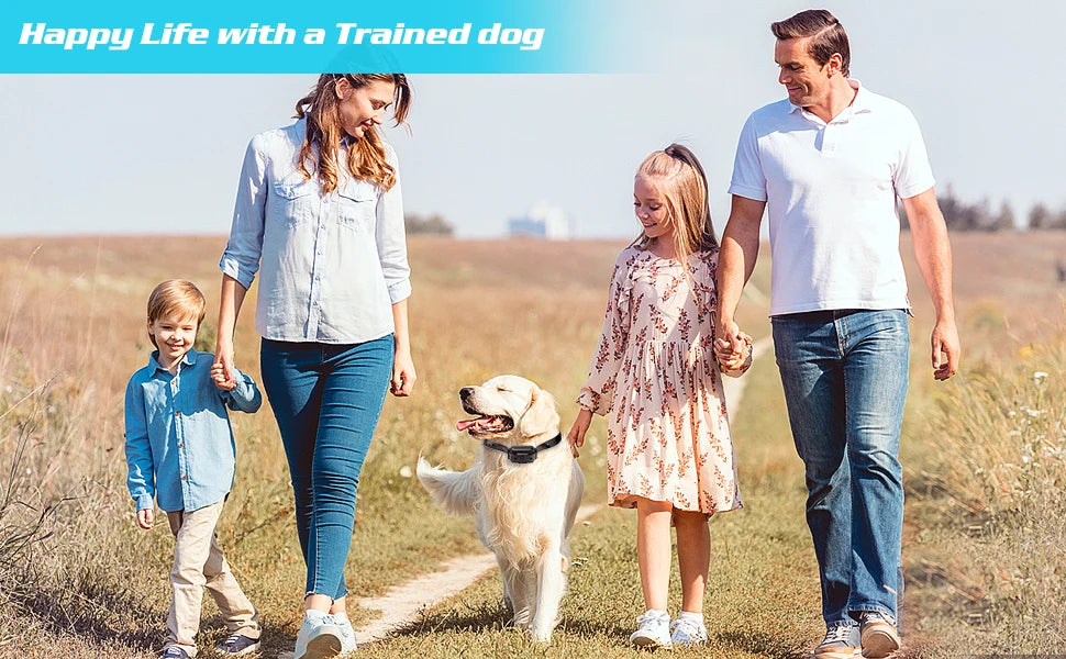 800m Digital Dog Training Collar Waterproof Rechargeable Remote Control Pet with LCD Display for All Size Shock Vibration Sound