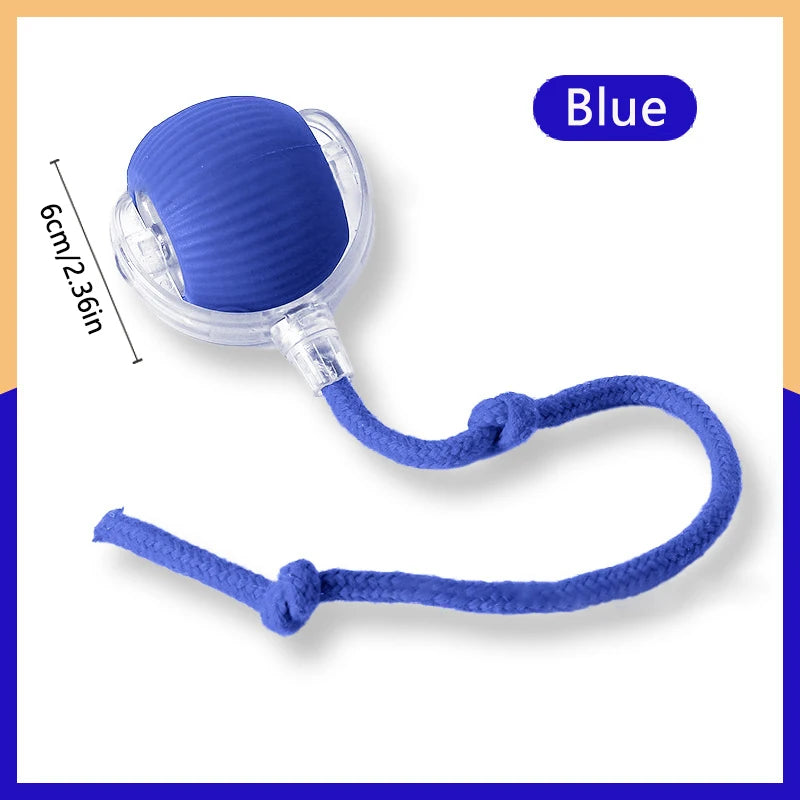 PlayMotion Smart Pet Ball