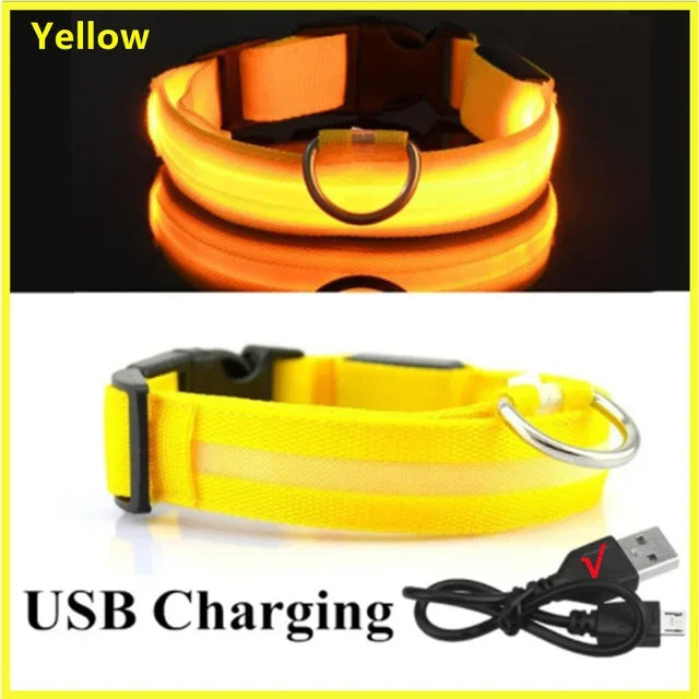 GlowGuard LED Dog Collar