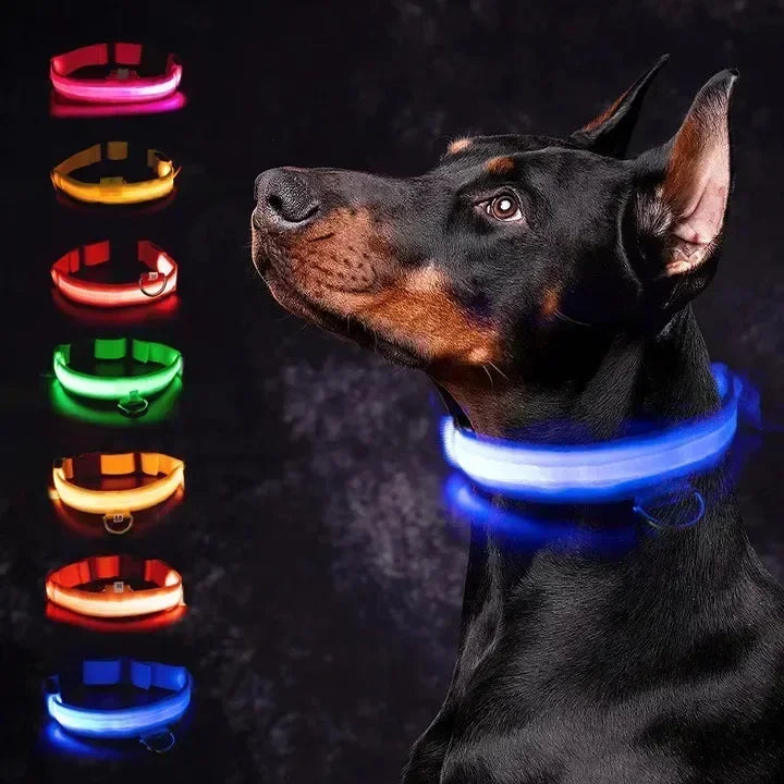 GlowGuard LED Dog Collar