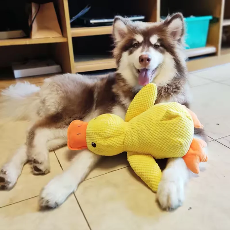 ChewMate Duck