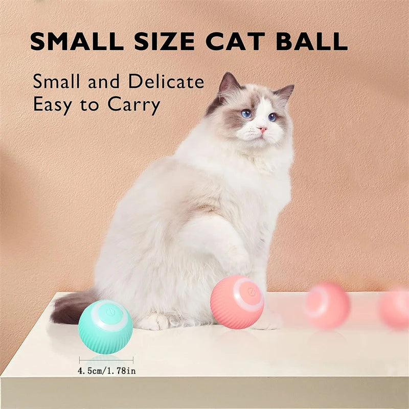 PlayMotion Smart Pet Ball