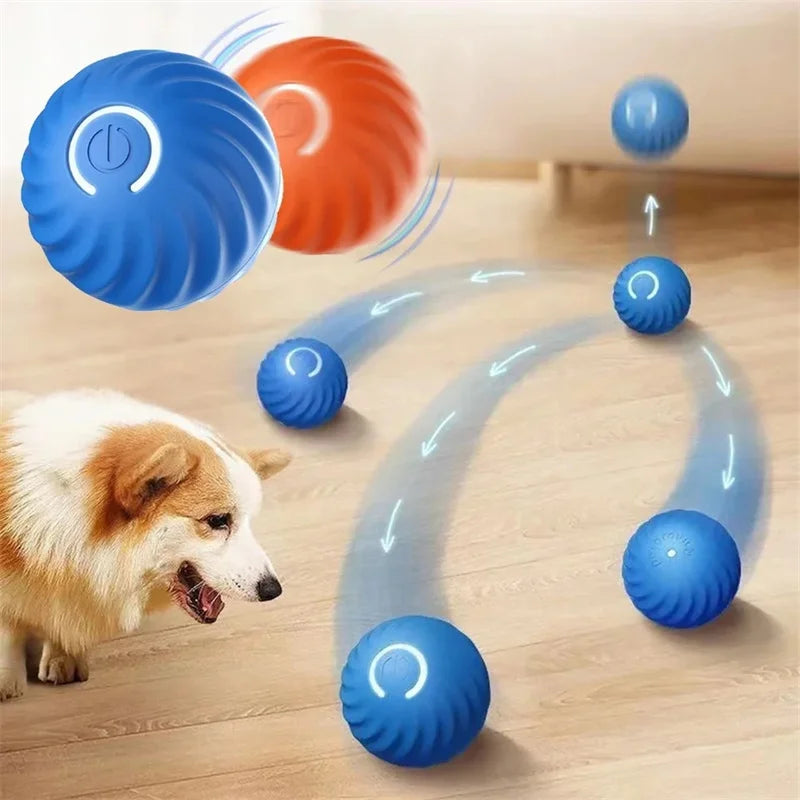 PlayMotion Smart Pet Ball