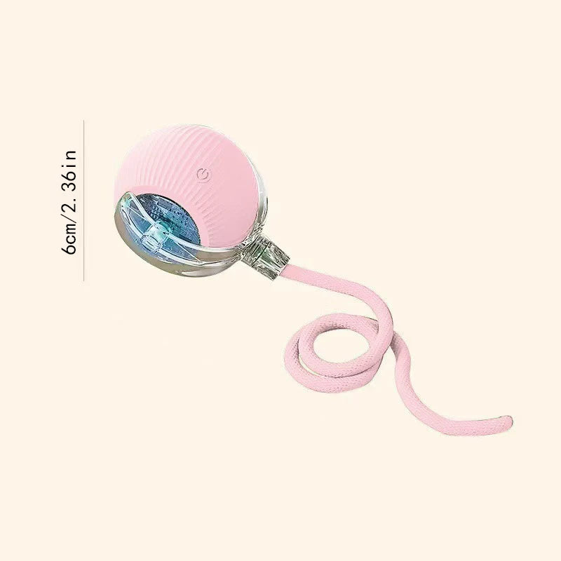 PlayMotion Smart Pet Ball