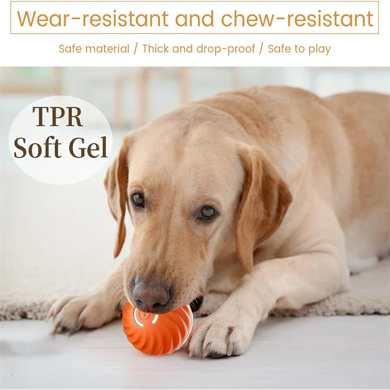 PlayMotion Smart Pet Ball