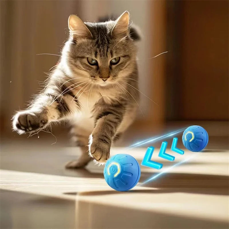 PlayMotion Smart Pet Ball