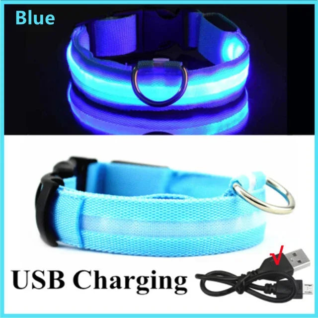 GlowGuard LED Dog Collar