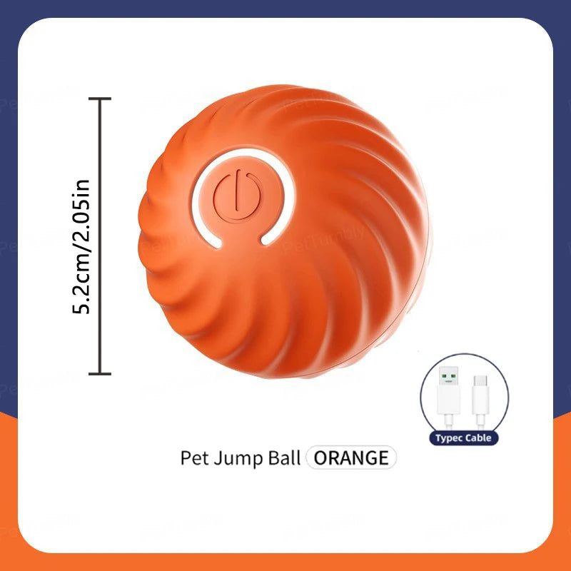 PlayMotion Smart Pet Ball