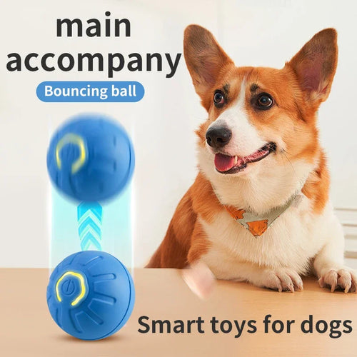 BounceBuddy Smart Pet Ball