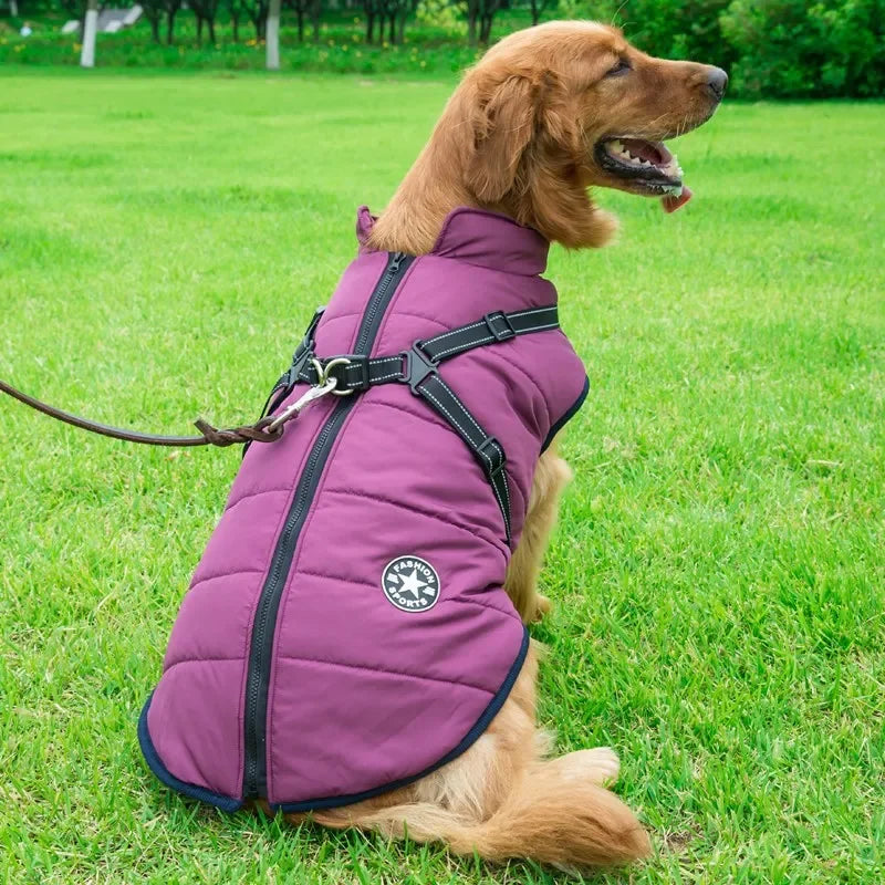 WarmPaw Waterproof Dog Jacket
