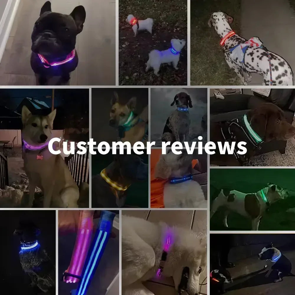 GlowGuard LED Dog Collar