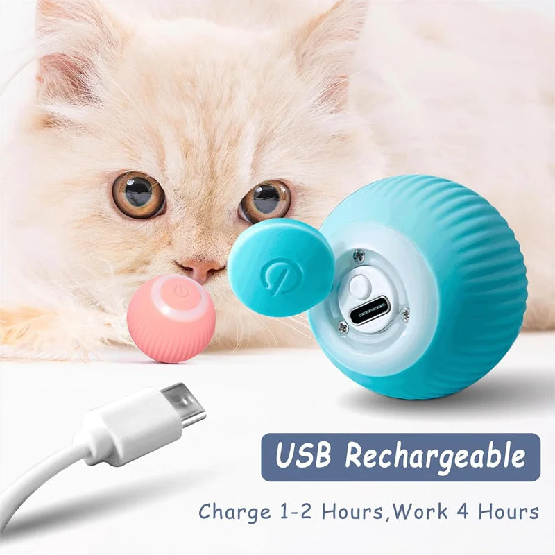 PlayMotion Smart Pet Ball