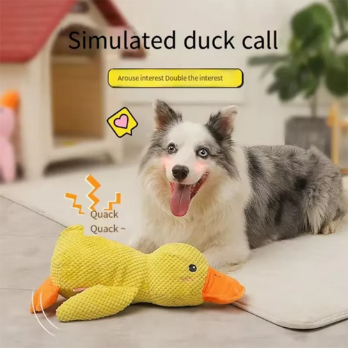 ChewMate Duck
