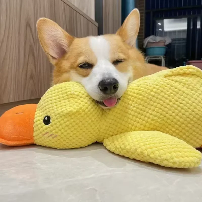 ChewMate Duck