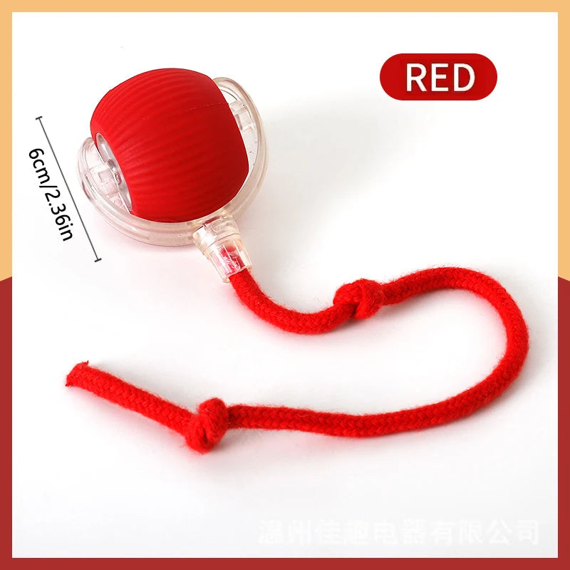 PlayMotion Smart Pet Ball