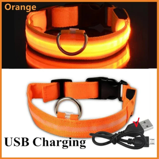 GlowGuard LED Dog Collar