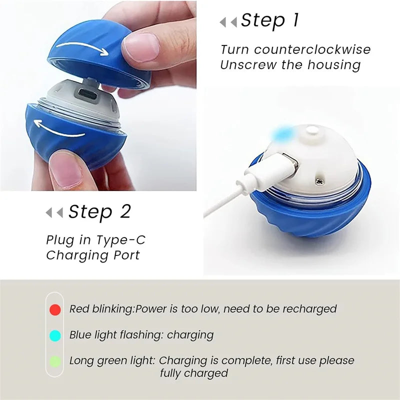 PlayMotion Smart Pet Ball