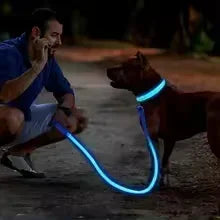 GlowGuard LED Dog Collar
