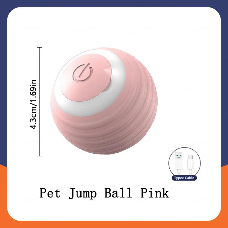 PlayMotion Smart Pet Ball