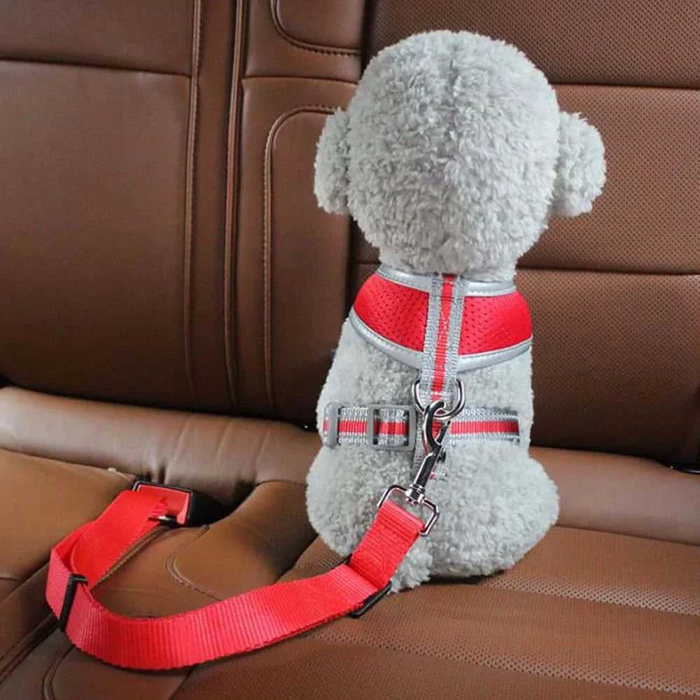 PawSecure Pet Car Safety Belt