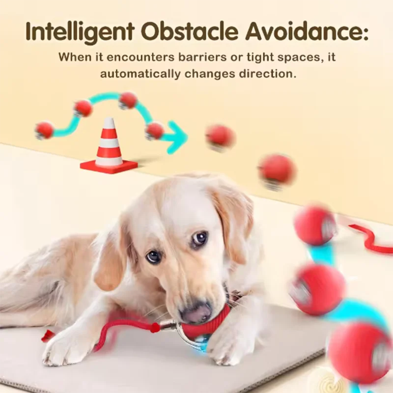 PlayWhiz Intelligent Interactive Cat Ball