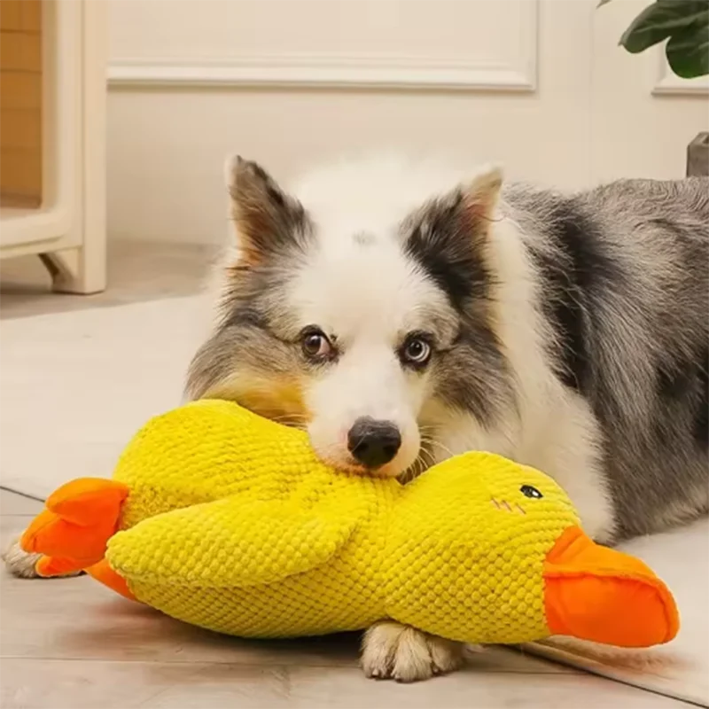 ChewMate Duck