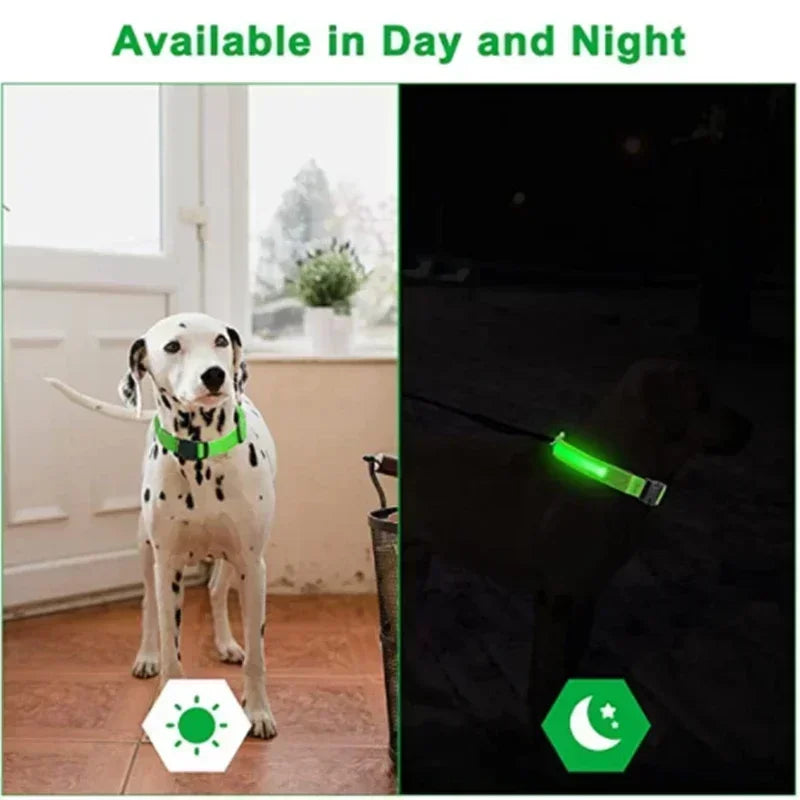 GlowGuard LED Dog Collar