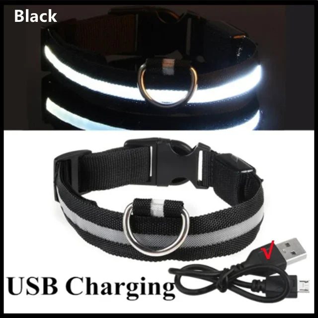 GlowGuard LED Dog Collar